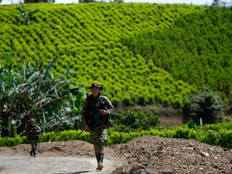 ¿Dónde meteremos los rebaños?