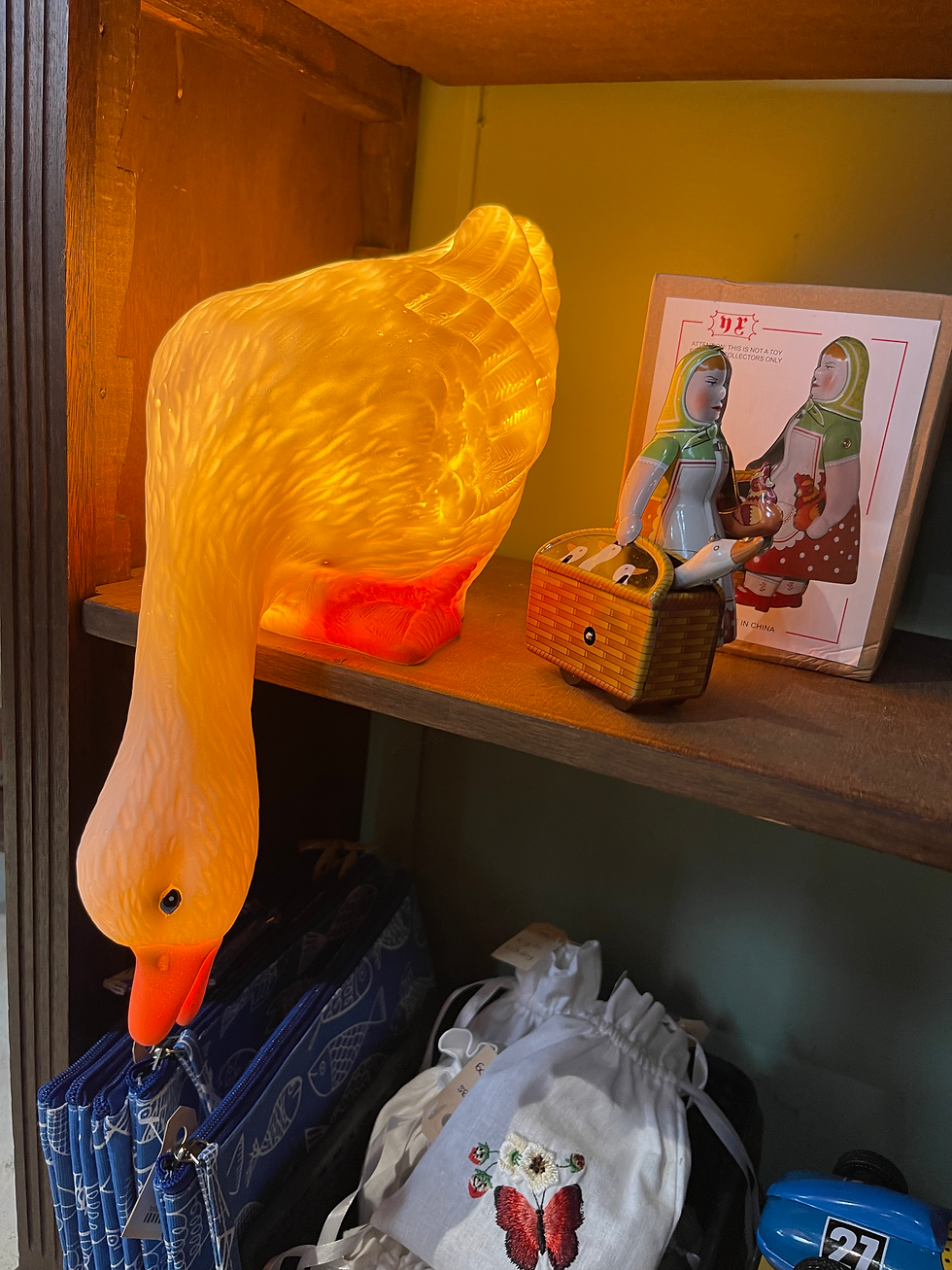 Witte ganzenlamp die licht geeft op een plank.