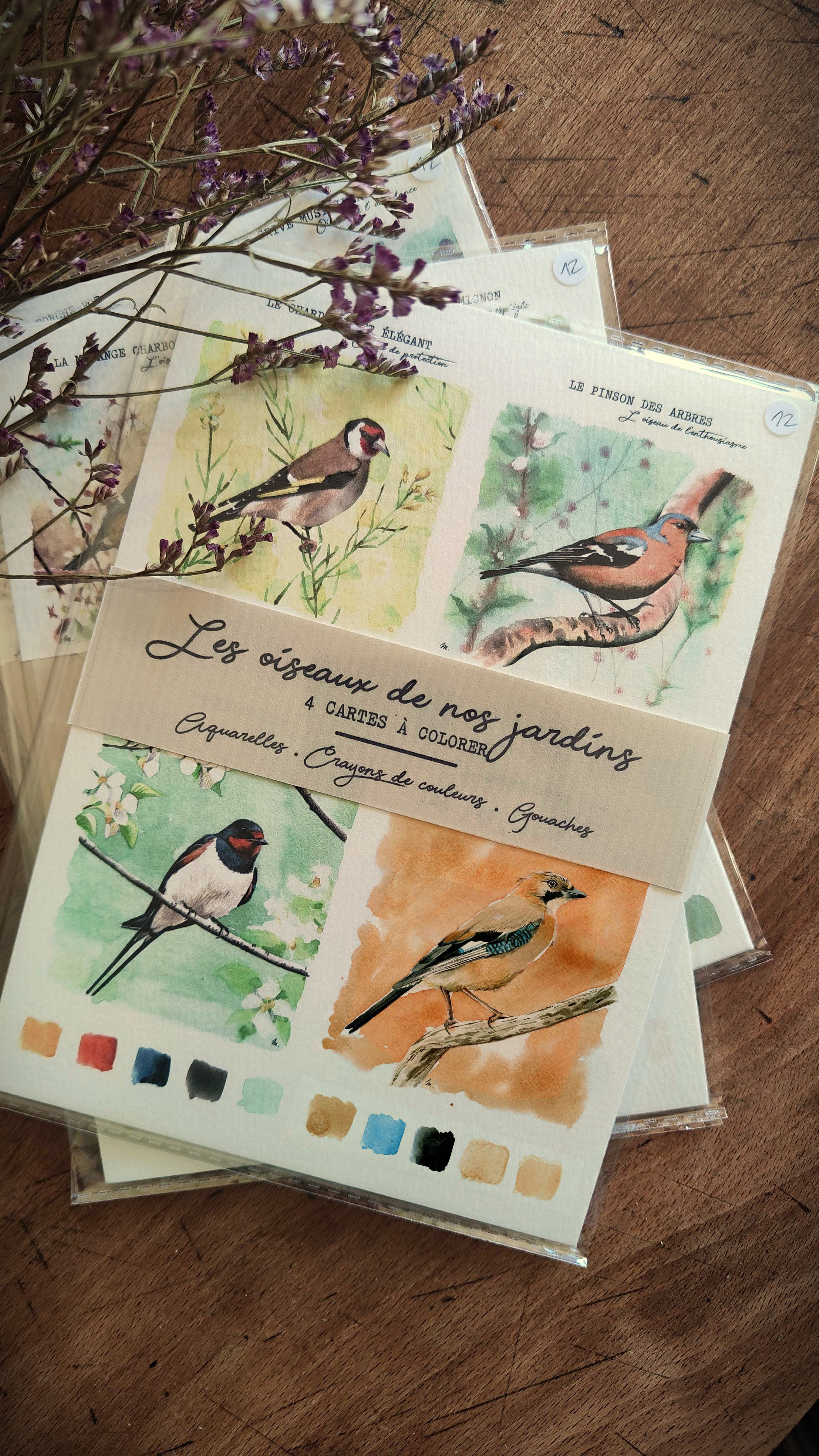4 CARTES À PEINDRE | LES COLORÉS |