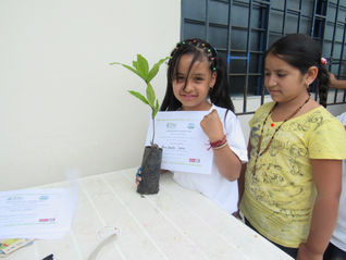 Jornada de reforestación en la vereda Santa Rosa