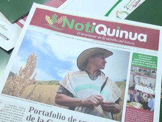 Segundo Encuentro Nacional de Quinua: un espacio para exaltar el emprendimiento caucano