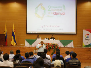 “Quinua Caucana, protagonista en la economía del posconflicto”