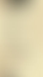 Wednesday Specials, Martinis, and Old Fashioneds!