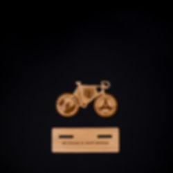 Bike + Wood Plate