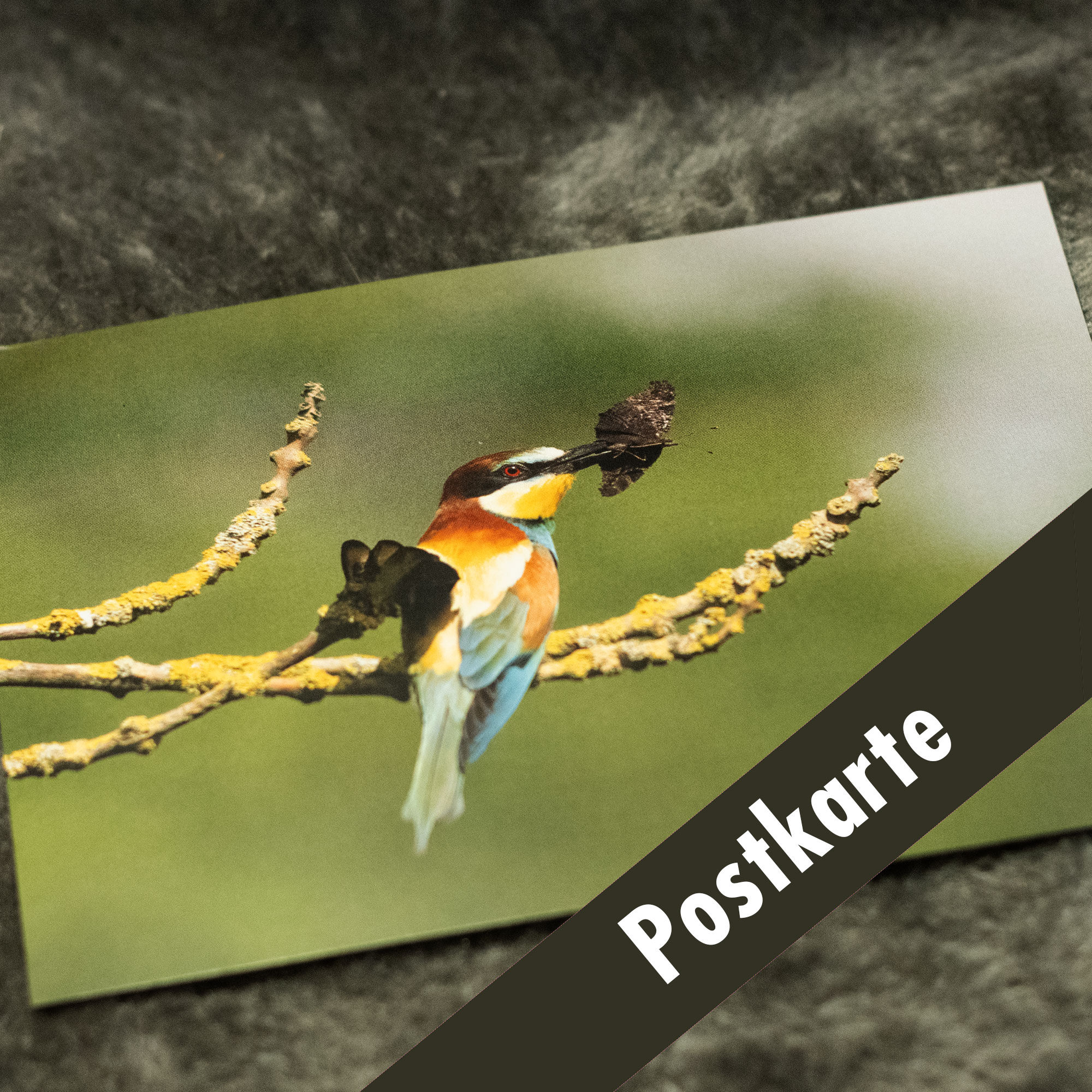 Postkarte"Bienenfresser"