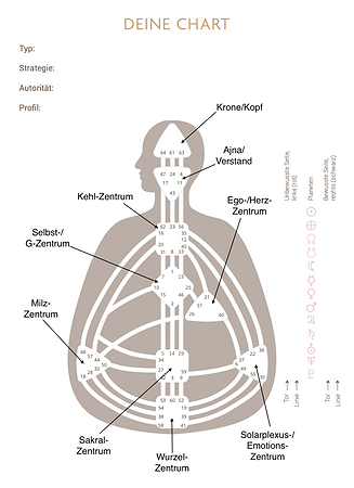 Human Design Basic/Blanko Chart