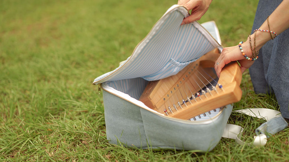 縮圖：Instrument travel bag (special design for 12 strings little harp)