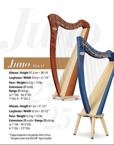 Salvi JUNO 25/27 Student lever harp | bearyharpy
