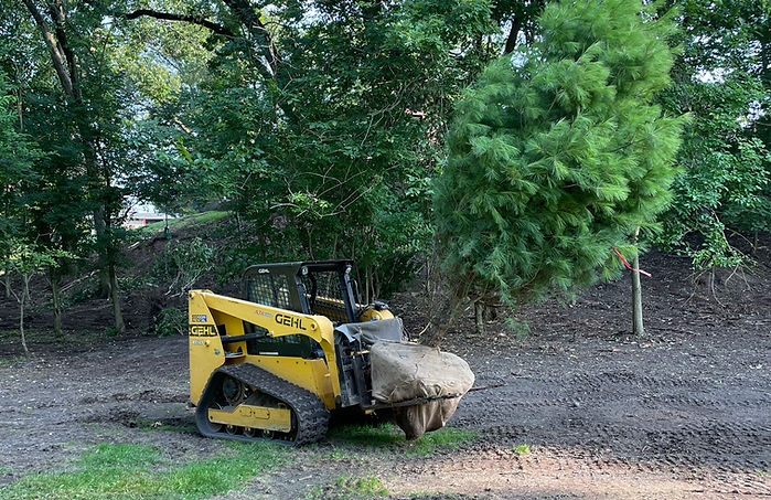 Kalamazoo Tree Planting