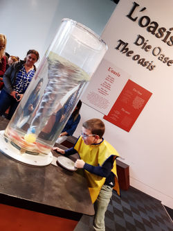 WhatsApp Image 2025-10-03 at 17.33.161