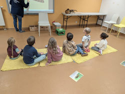 WhatsApp Image 2025-10-03 at 17.33.381