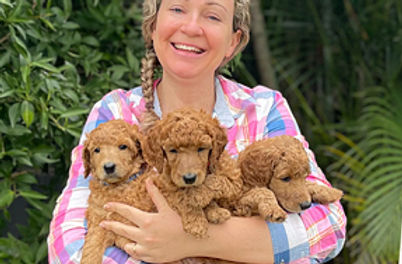 Owner and founder of Parfaite Poodle Creations