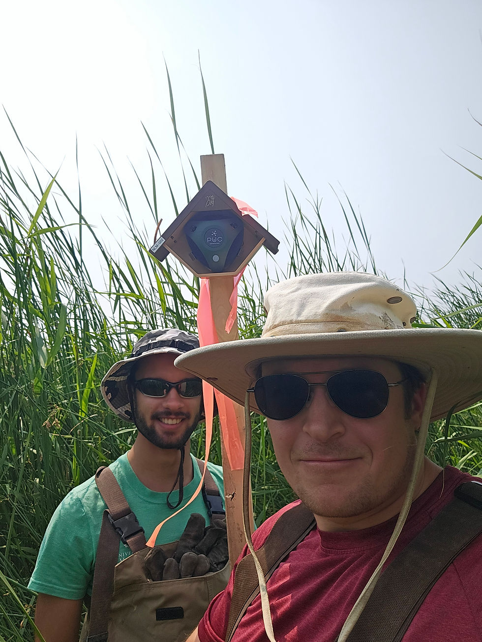 Birdweather monitoring device