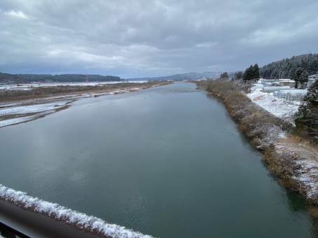 米代川の様子 11月30日(土)曇り 二ツ井大橋の下流、今朝は雪が積もりました。