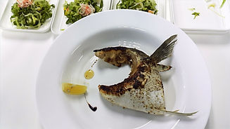 20160617_121722_edited.jpg