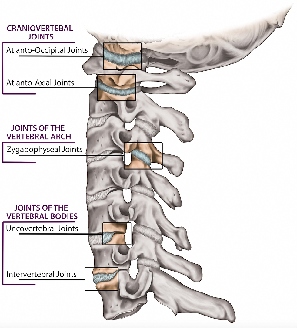 Whiplash Injuries Chapter 1 The Crash Course