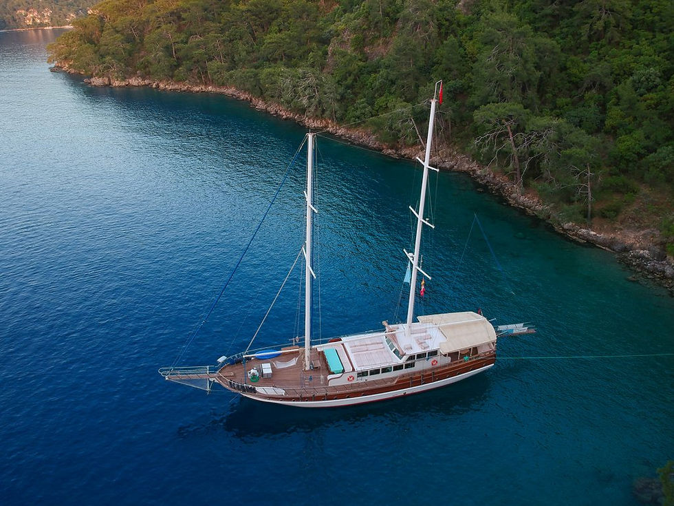 Koda Sail Levels Up: Premium Boats with Overnight A/C for 2026!