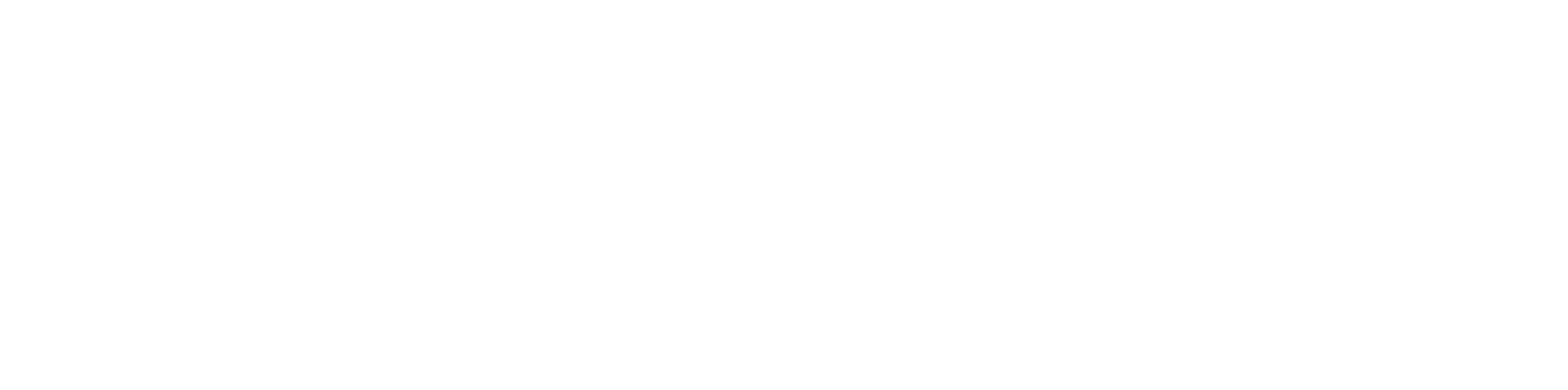 White on transparent  (1).png