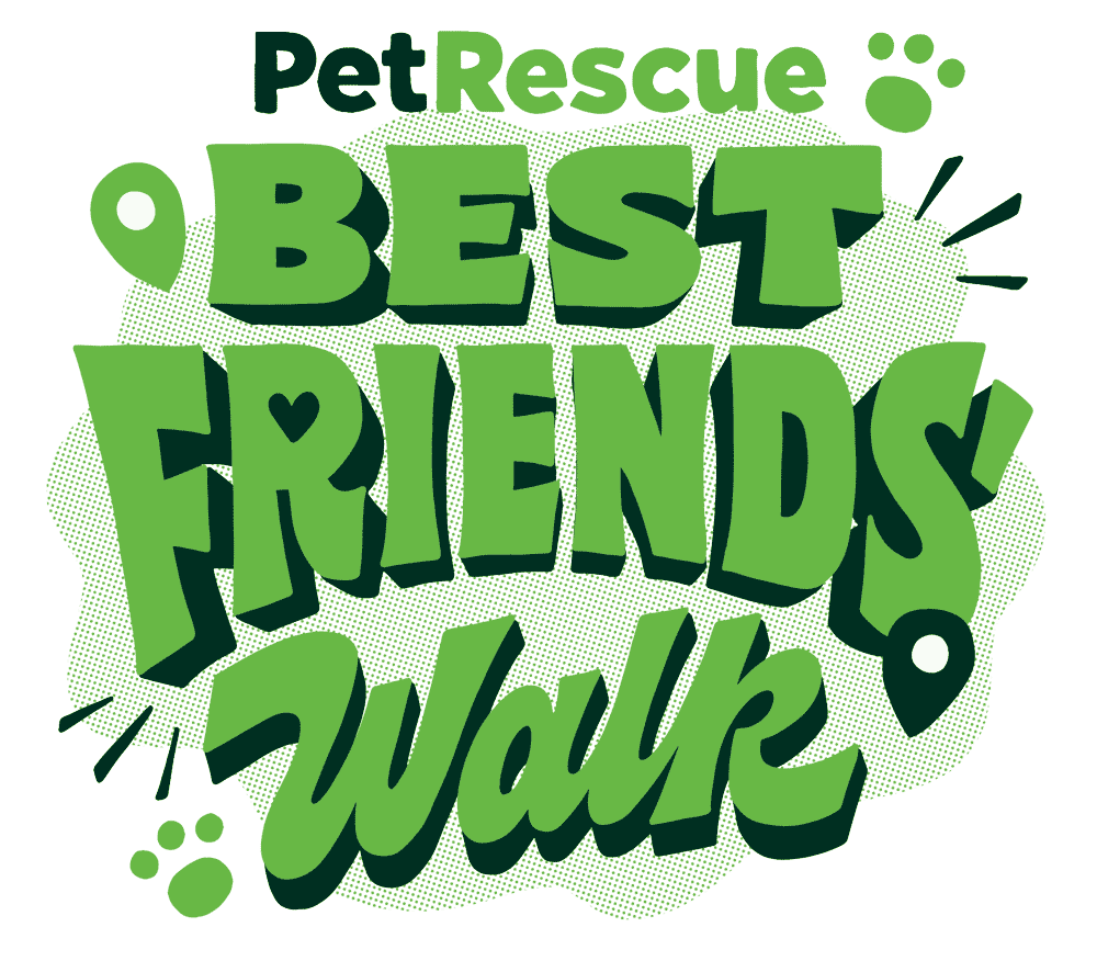 Join E.Tel at the Best Friends Walk: Supporting Homeless Pets