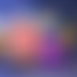 The Unforgettable Spin the FMJ Wheel Extravaganza!