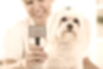 Dog Grooming_edited.jpg