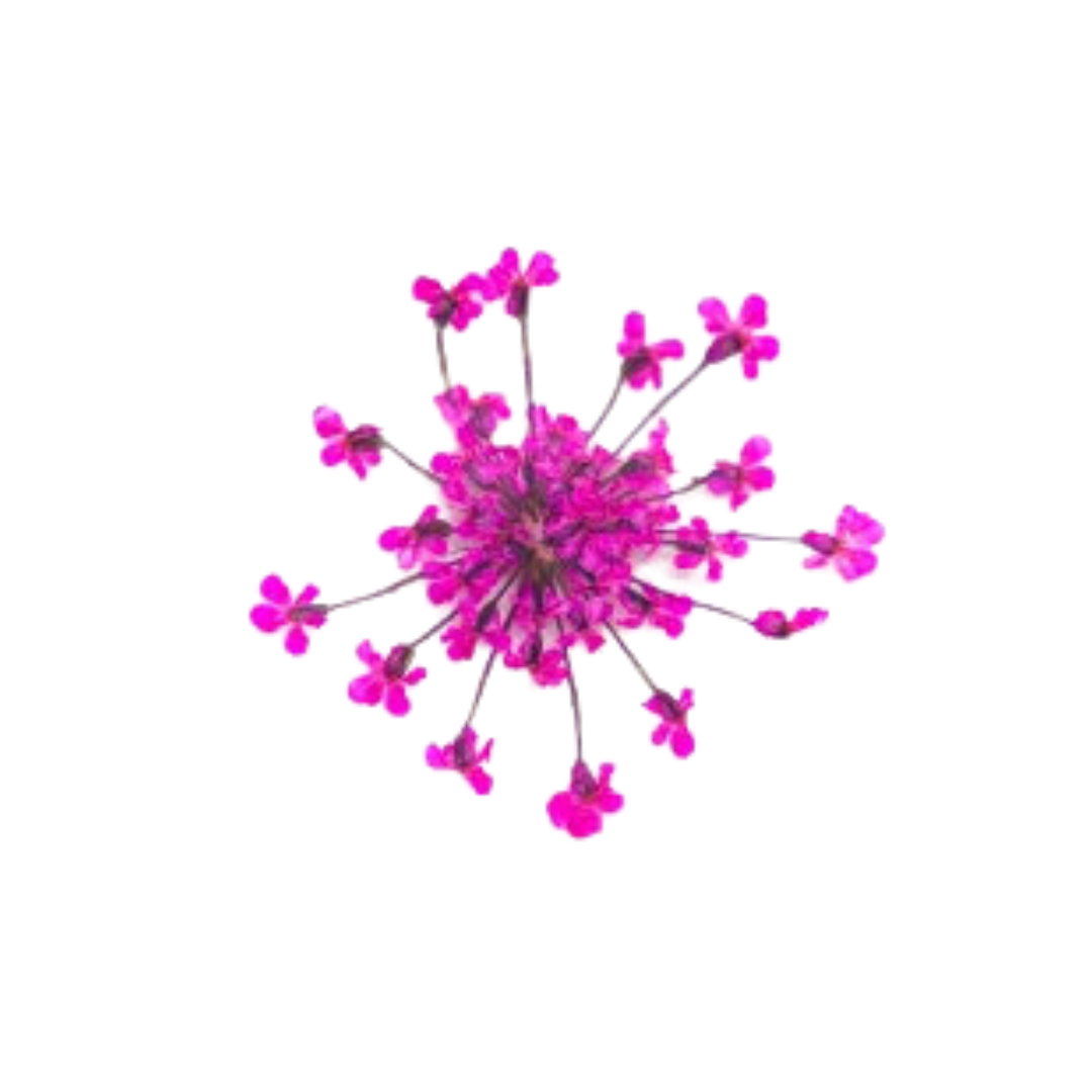 PINK Dried Flower nail art decoration
