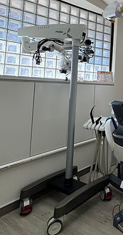 IMG_6383.jpeg