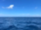 IMG_0298.JPG