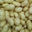 Writer: All About Potatoes