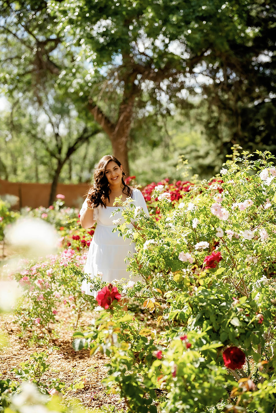 Harvey Cornell Rose Park photoshoot
