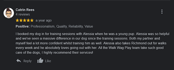 Catrin Rees WalkWagPlay Review .png