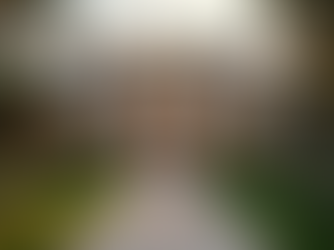 Elevate Your Listings with Stunning Real Estate Photography