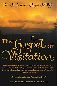 Book Cover The Gospel of Visitation.jpg