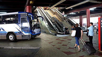 v21J7305.jpg