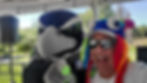 Troy_Hawk