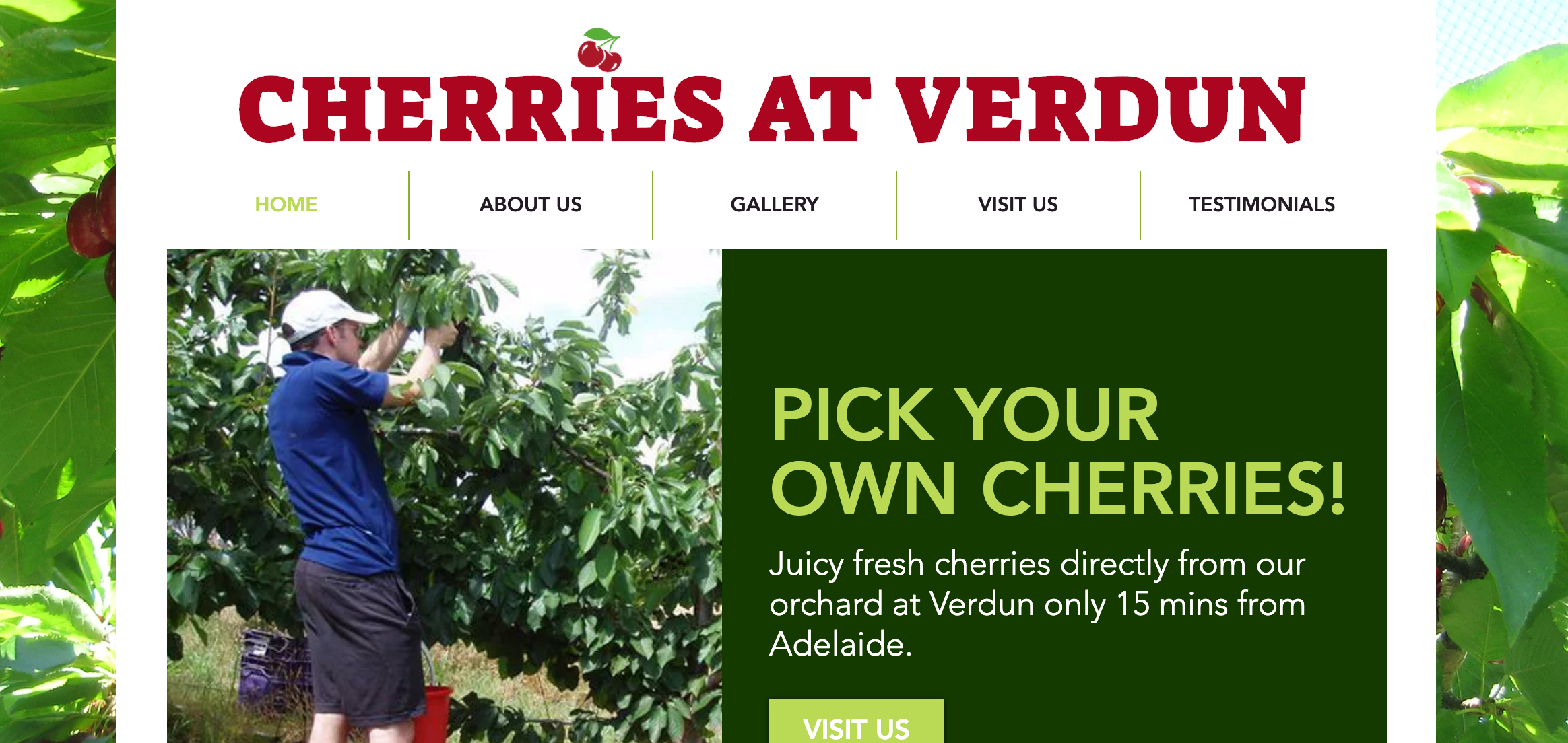 Pick your own cherries CHERRIES AT VERDUN South Australia