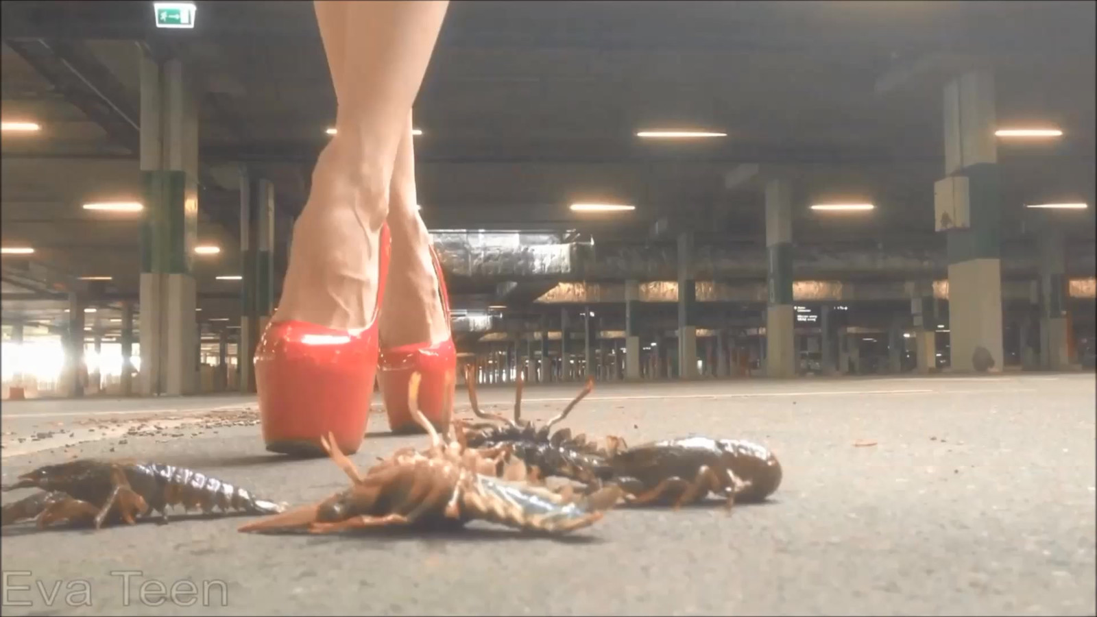 Lobster crush fetish