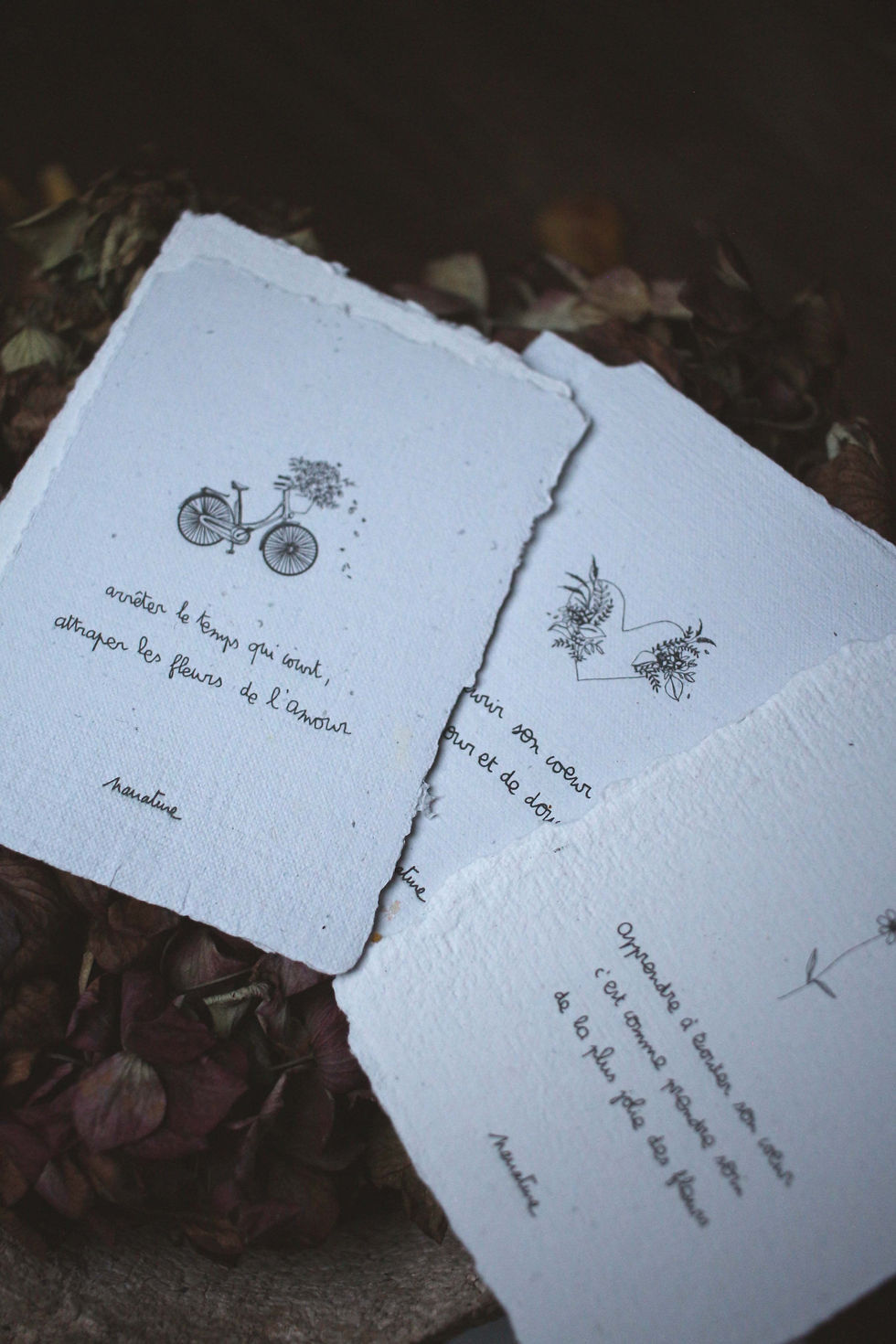 Miniature : Coffret LES ESSENTIELLES - 10 cartes artisanales poétiques  |  Jardin de Coeur