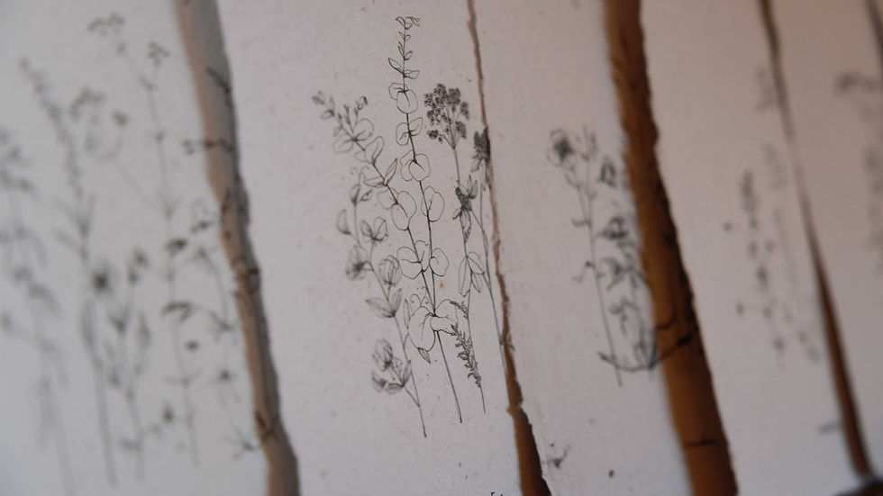 Miniature : Carte artisanale Herbier /  Vagabondes - 4