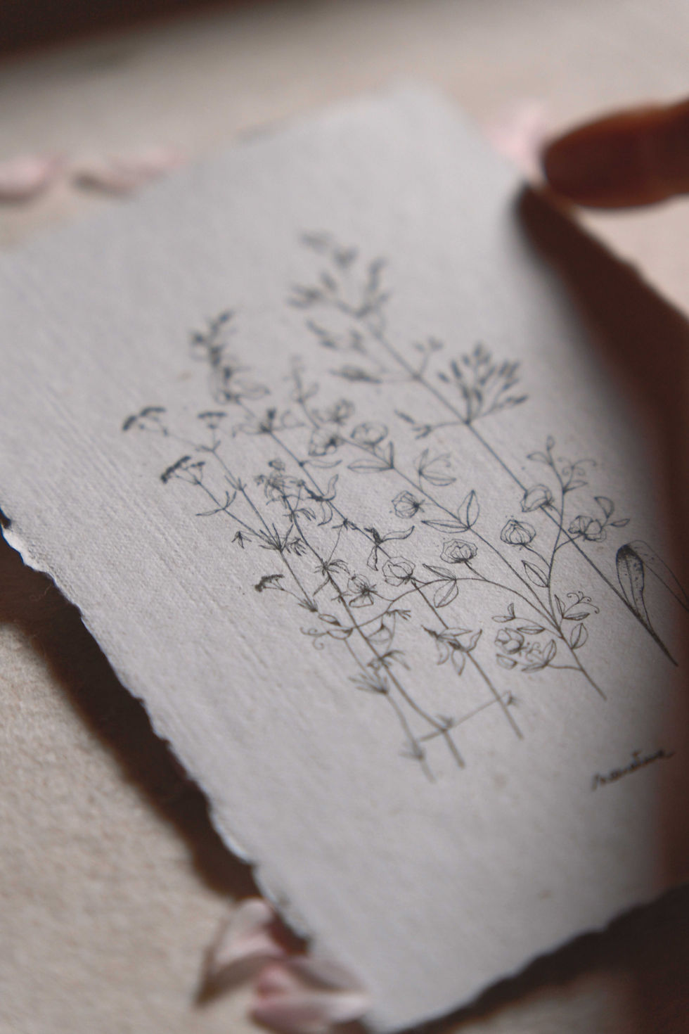 Miniature : Carte artisanale Herbier /  Vagabondes - 6