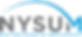 nysum-logo-retina_edited.png