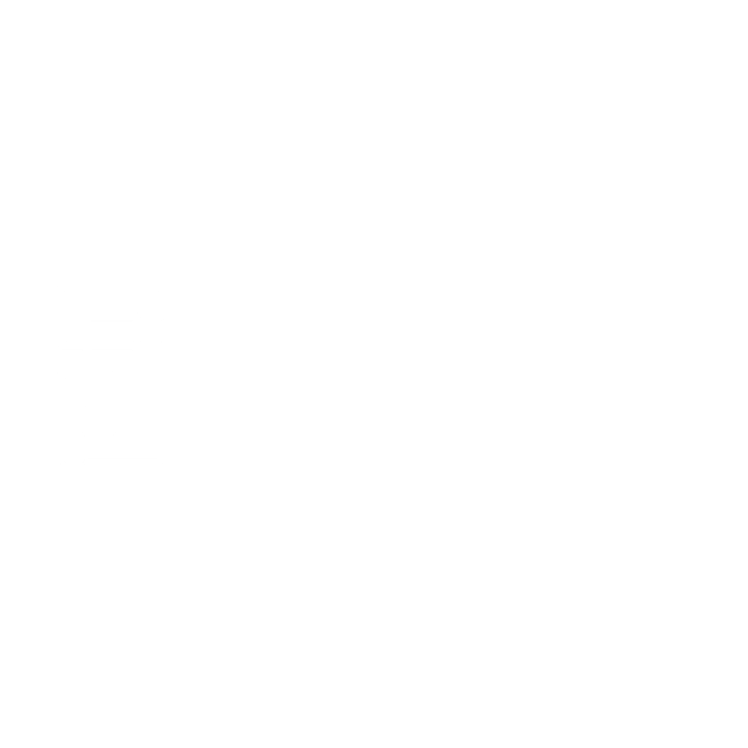 PLUS LOGO.png