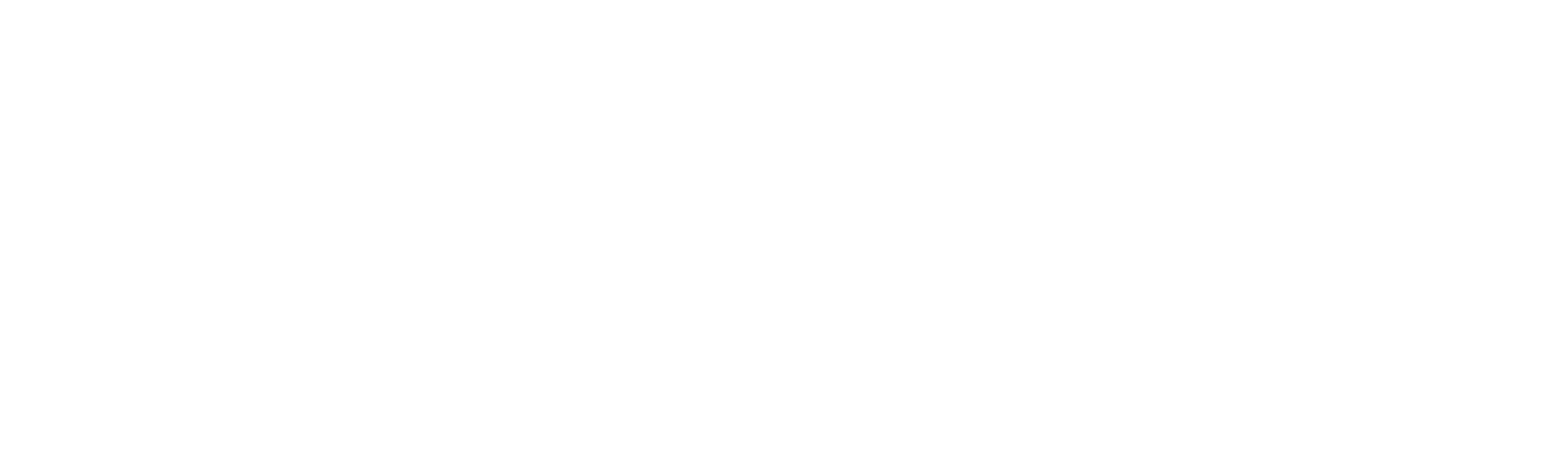 Plus Accounting Services Inc - Logo WHITE.png