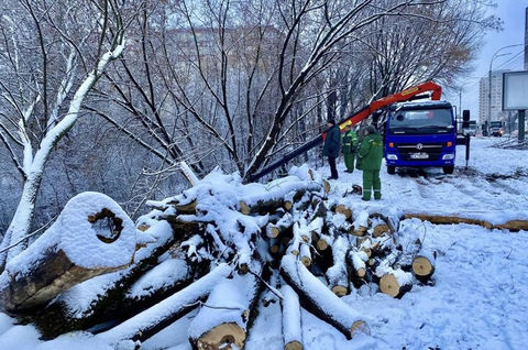 Територію біля Совських ставків розчищають