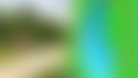 Альтанки у Совській балці мають прибрати за рішенням суду