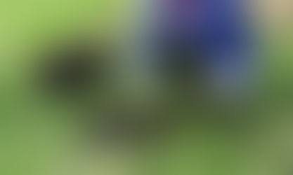 8 червня 2024  — толока на нижньому каскаді Совських ставків