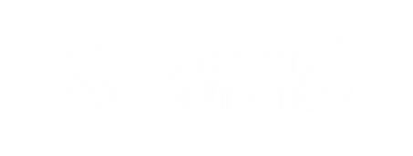 AN logo.png