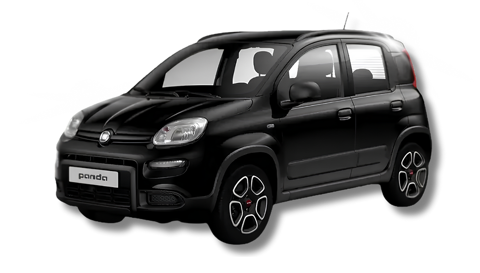 dsp-ricambi-auto-noleggiata