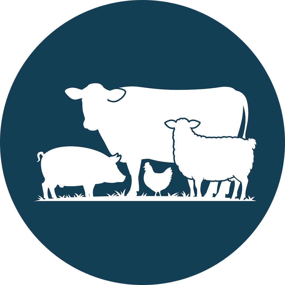 multiva-logo