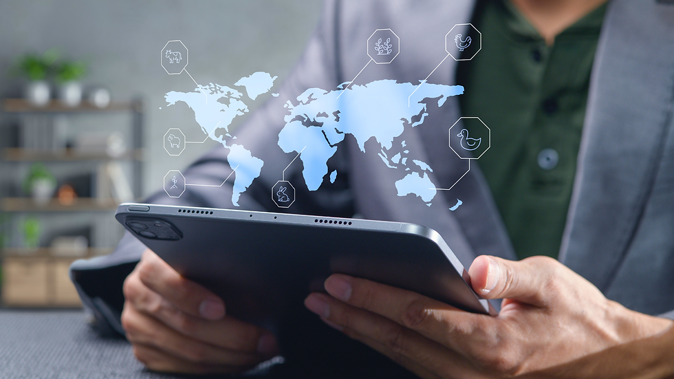 collaborazioni-eletrica-milly